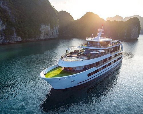 Stellar of the Seas Cruise